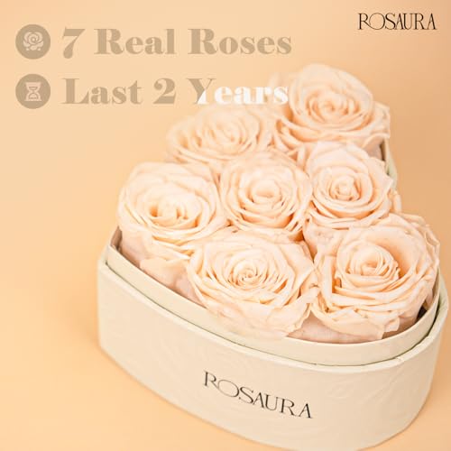 Rosaura Heart-Shaped Preserved Roses Gift Box - Real Forever Flowers for Christmas, Birthday, Valentine's & Mother's Day (Champagne, 7 roses) - color: Champagne, size: 7 roses