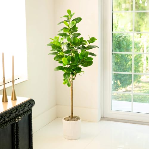 Nearly Natural 5ft. Artificial Audrey Ficus Tree - size: 5ft