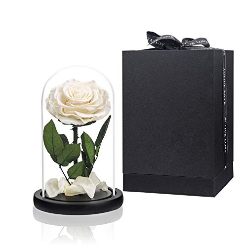 Preserved Flowers White Roses in Glass Dome, Preserved Rose Never Withered Flower Gifts for Her, Mother's Day, Birthday Gifts for Women - color: White, size: Medium