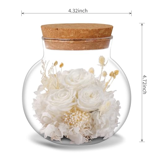 NATROSES Christmas Birthday Gifts for Women - Handmade Preserved Flowers Wish Bottle for Valentine's Day, Mother's Day, Anniversary, Home Decor (White) - color: White