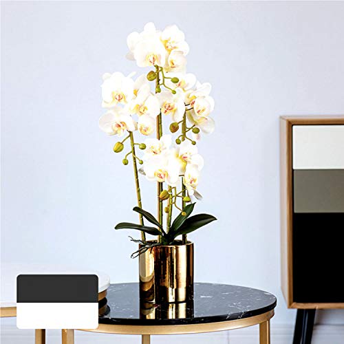 FagusHome 31" Artificial Silk Phalaenopsis Flowers 3 Pcs with 2 Bundles Leaves Artificial Orchid Flowers Stem Plants in Fake Butterfly Phalaenopsis Flowers for Home Wedding Party Décor (White)