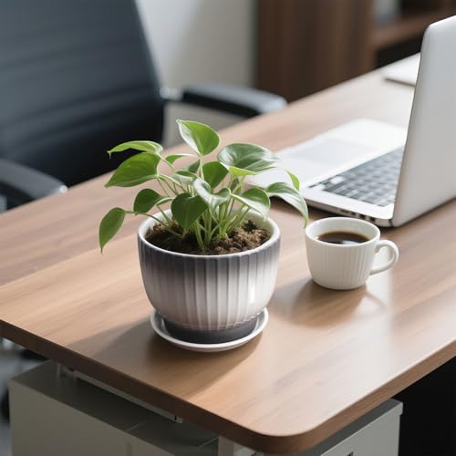 6.7 + 5.5 Inch Ceramic Plant Pots,Planters with Drainage and Saucer,Indoor Pots for Plants,Modern Flower Pots for Home and Office（Gray + White） - color: Gray + White