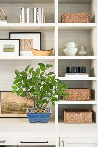 Fake Plants Small Artificial Plants Indoor 15.3" Fake Potted Plants Realistic Faux House Topiary Plants with Blue Ceramic Pot for Home Office Bathroom Kitchen Farmhouse Table Centerpieces Shelf Decor - color: Green -Blue Pot