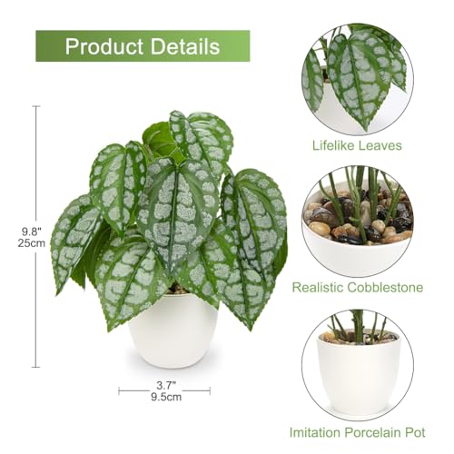 Fake Plants Small Faux Potted Plant 9.8 Inches Fake Piper Sylvaticum with Pot Artificial Plants Indoor for Home Decor Bedroom Aesthetic Bathroom Shelf Living Room Office Kitchen Table Decoration - color: 9.8'' Green