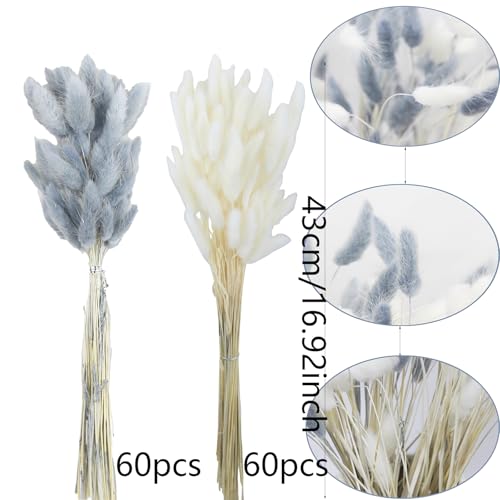 CITYES 120Pcs Dried Bunny Tails Flower Lagurus Ovatus Natural Dried Flowers Rabbit Tail Grass Gray and White Dried Pampas Grass Dried Floral Arrangement for Boho Decor Wedding Home DIY Farmhouse Table - color: White and Grey