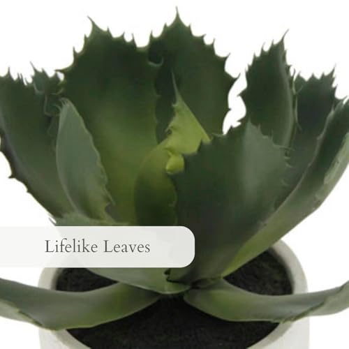 CG Hunter Round Faux Succulent Arrangement, Set-of-2 Premium Artificial Indoor Plants Enhances Interior Design, Display on Any Surface in Your Home Adding an Inviting Touch of Nature, Pots Included - size: 10" Set-of-2