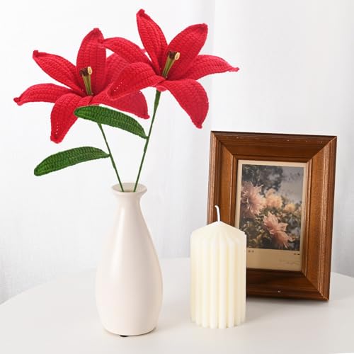 M METERXITY 1-Pack Crochet Flowers, Knitted Artificial Wool Lily for Mother's Day/Wedding/Birthday/DIY Decor, Handmade Knitted Flowers [Red] - color: Red