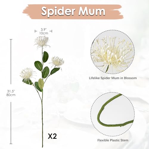 Hollyone 33" Cream White Artificial Mums Flowers Chrysanthemum Flowers 2Pcs Spider Mum Flower Arrangement Faux Pincushion Flower with 3 Heads Long Stem for Centerpiece Bouquet Home Decor - color: Cream White