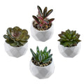MyGift Miniature Artificial Succulents, Indoor Fake House Plants in Round White Geometric Ceramic Pots, Set of 4 - color: White (Set of 4)