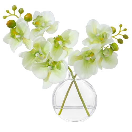 Green Textured Coated Silk Artificial Orchid Flowers with Clear Glass Vase and Faux Water, 11" Faux Phalaenopsis Orchid Arrangement Centerpiece for Dining Table Bathroom Decor - color: A-green