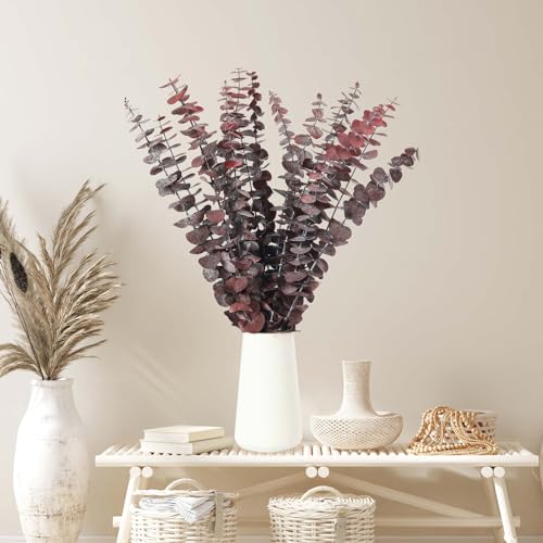 Tavkite 16 Pcs Dried Eucalyptus Stems, 17'' Natural Fresh Eucalyptus Leaves Branches Hanging for Shower, Preserved Real Red Plant Live Greenery for Home SPA Wall Bathroom Wedding Party Vase Decor - color: Red