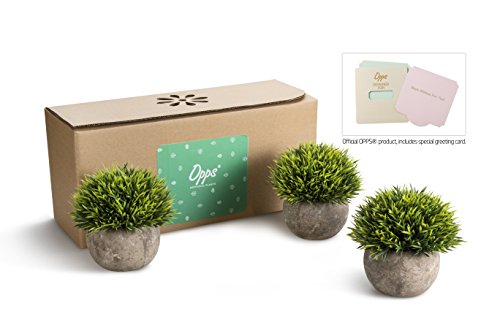 Opps Mini Artificial Plants Plastic Fake Green Grass Topiary Shrubs with Gray Pot for Home Décor – Set of 3 - color: Green