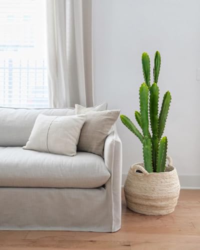DILATATA 29.5”+32.5” Tall Fake Cactus Plant Potted Large Cactus 'Euphorbia Accruensis Cactus' Big Cacti Plants Artificial Cactus for Home Garden Office Decor Housewarming Gifts Faux Cacti-Set of 2 - color: Mix
