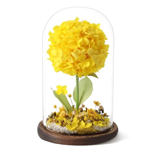 Forever Hydrangeas in Glass Dome,Forever Preserved Flowers Gifts Mothers Day Birthday for Grandma Women Mom Wife,Fresh Flowers for Delivery/Yellow Hydrangea - color: Yellow