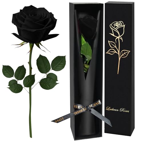 Black Single Forever Roses Luxury Gift for Women/Men, Fresh Flowers Bouquet for Girlfriend, Wife, Mom, Anniversary, Valentine's Day, Wedding, Graduation, Christmas, Birthday, Unique Presents for Her - color: Black