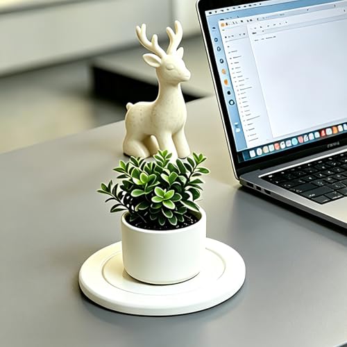 Instant Dry Diatomaceous Earth Plant Saucer, Round Stone Drip & Drainage Tray for Indoor Outdoor, Absorbent Pot Coaster, Housewarming Gift, Keep Floors Dry and Clean (4,6in,White) - color: White, size: 6.30 × 6.30 in