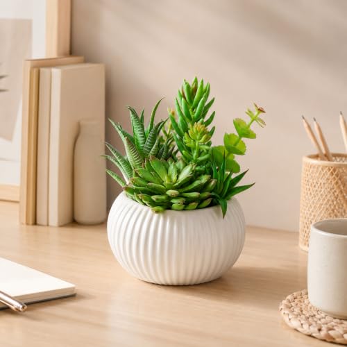 8 Inch Fake Plants Artificial Succulent Plants，White Ceramic Flower Pot，Assorted Faux Mini Succulents in a Decorative Planter Pot. - color: Pinkish White