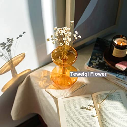 Natural - Dried - Flowers Brazilian Small Star Daisy Dried Decorative Mini Chamomile Bouquet for Wedding Floral Arrangements Home Decorations Valentine's Day Gifts (200 Stems) (White) - color: White