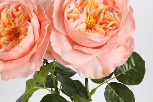 2Pcs Fake Austin Rose Peonies Flowers Real Touch Peach Roses with Stems 25.60'' Latex Peony Artificial Flowers for Home Decor Flower Arrangement Wedding Centerpieces Valentine's Day (Peach) - color: Peach