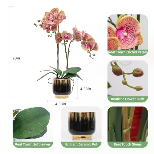 CXGS Orchids Artificial Flowers Real Touch Fake Flowers in Ceramic Pot 20" Purple Dapple Faux Orchid Plant Lifelike Silk Phalaenopsis for Centerpiece Hotel Home Indoor Decor - color: Purple Dapple- Black Gold Vase