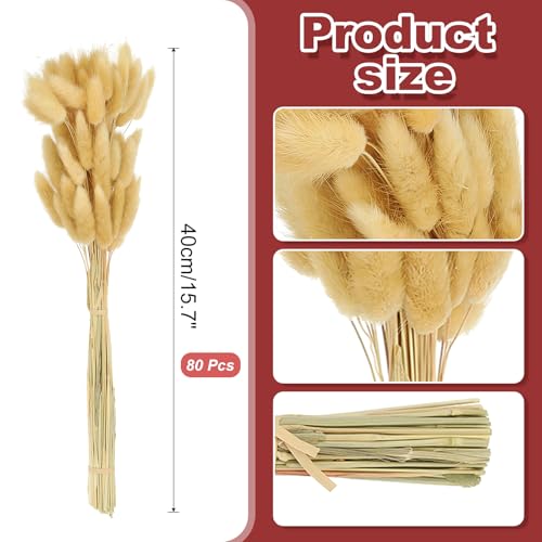 PATIKIL 15.7in Bunny Tails Dried Flowers, 80pcs Pampas Grass Decor Rabbit Tail Natural Pampas Grass Bulk Fluffy Faux Pampas Grass Dried for Home Boho Decor Vase Wedding Table, Beige - color: Beige