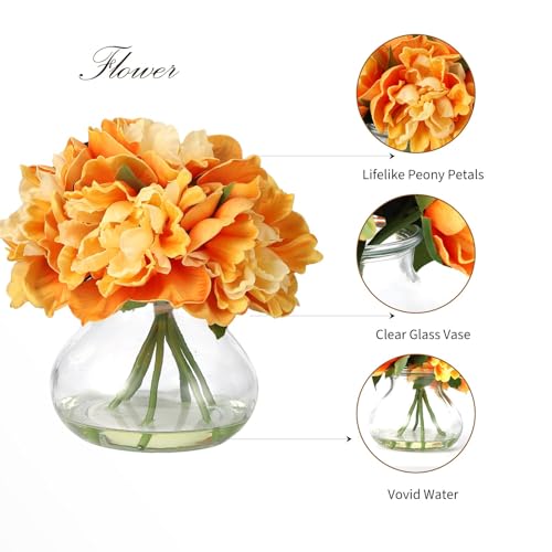Orange Peony Bouquet in Glass Vase - 6 Piece Artificial Flower Arrangement with Faux Water for Wedding & Home Centerpieces - color: Peony Flowers, size: Orange