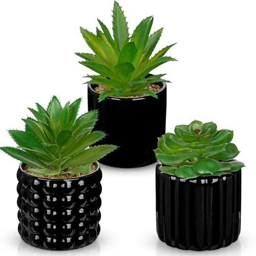 Briful Succulents Plants Artificial in Black Ceramic Pots (Set of 3), Small Fake Plants for Home Office Desk Decor – Modern Mini Potted Succulents for Bathroom, Bedroom, Living Room Table, Shelf - color: Black