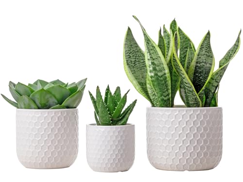 Docrin Plant Pots Indoor with Drainage: 6.4+5.3+4 Inch Ceramic Flower Pots for Plants - Set of 3 Modern Decorative Planters for House/Office/Gift - White Honeycomb - color: Milky White
