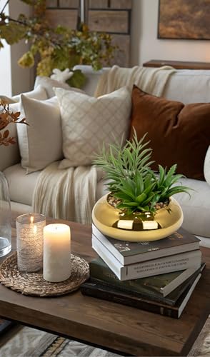 Hollyone Large Artificial Succulents Plants Faux Succulents with Gold Pots Fake Succulent Potted Plants in Ceramic Pot for Home Decor Office Desk Bathroom Living Room Indoor & Outdoor Decorations - color: 1pack - Gold Ceramic