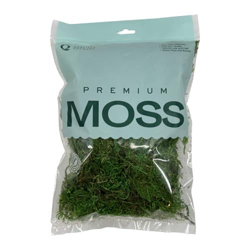 Preserved Sheet Moss - Natural Decorative Moss - Dried Moss for Crafts, Home Decor, Art, Design & DIY Projects - Non-Toxic - Green - Medium - color: Sheet Moss, size: Medium