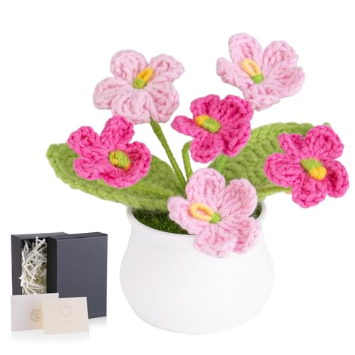 LAIDANLA Crochet Flowers Forget Me Not Small Gradient Pink Gifts for Women Handmade Anniversary Graduation Birthday Gifts for Mom Teacher Friends Coworker Knitted Flower Potted for Desk Accessories - color: Ombre Pink