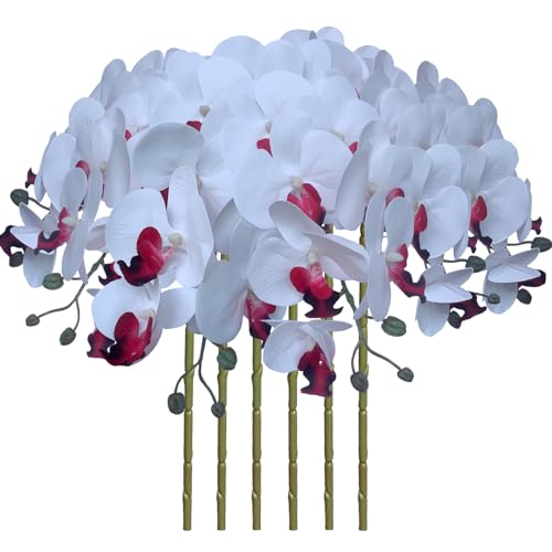 FagusHome 32 Inch Artificial Phalaenopsis Flowers 6 Pcs Artificial Orchid Flowers Stem Plants for Home Décor (Pure White) - color: Pure White