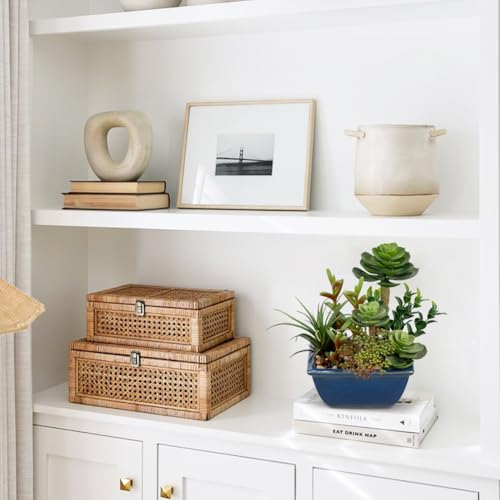 Small Faux Plant Assorted Fake Succulents Plants with Glazed Ceramic Pot Faux Succulents Arrangement Cement Potted Desk Plants Small Fake Plants for Home Table Office Bathroom Shelf Living Room Decor - color: Blue