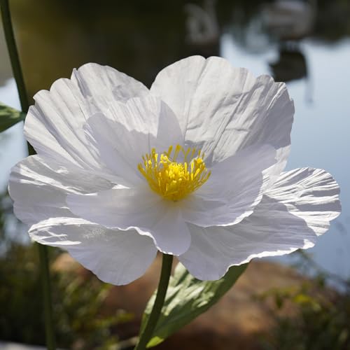 Giant Flowers,Oversized Artificial Flower with Gradient Petals,Large Paper Floral Decor with Stand for Wedding Backdrops, Event Parties, Photo Booth Props, Home Decoration (White) - color: White