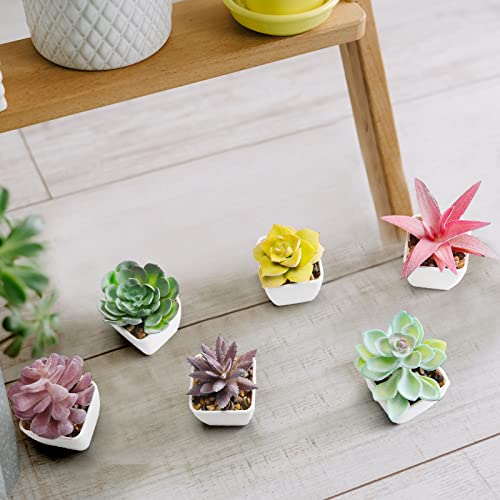 18 Set Artificial Faux Succulents in Pots Artificial Succulent Plant for Women Assorted Decorative Small Fake Plant Potted Faux Cactus Plant for Shelf Desk Room Bedroom Bathroom Office Decor (Cute)