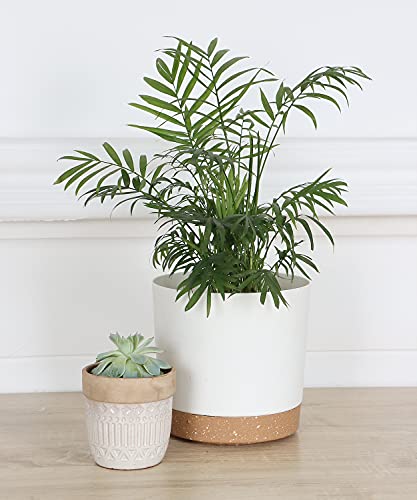 kubvici 8'' Plastic Flower Planter Pots Set of 2 Indoor Outdoor Planters with Drainage Saucer for Garden Home (Green & White, 8 inch) - color: Green & White, size: 8 inch