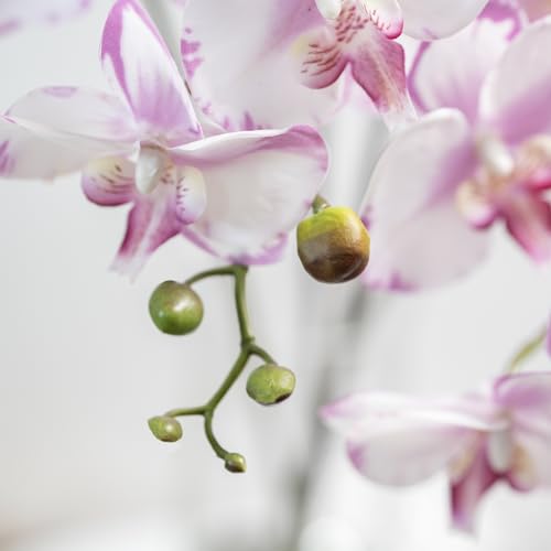 DUYONE 35 Inch Artificial Butterfly Orchid Flowers 4 Pcs softTouch Orchid Fake Phalaenopsis Flowers Stem Plants for Wedding Home Decoration (Light Purple 4pcs) - color: Light Purple 4pcs (Not Include Vases)