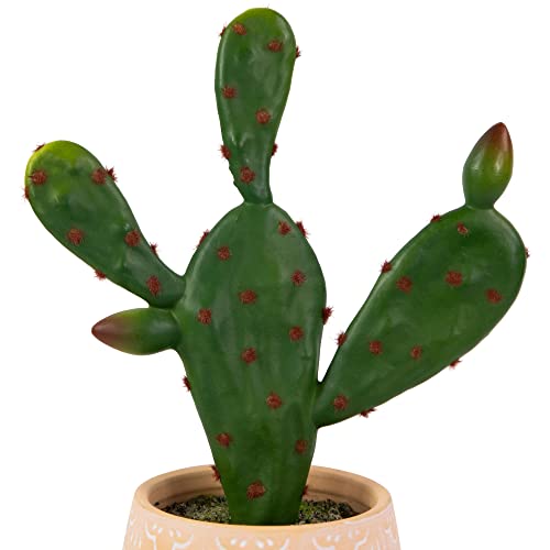 Northlight Real Touch™ Artificial Green and Red Potted Floral Cactus - 9.5"