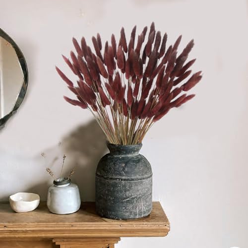 CITYES 120 Pcs Dried Bunny Tails Flower Lagurus Ovatus Natural Dried Flowers Rabbit Tail Grass Dried Pampas Grass Floral Arrangement for Boho Decor Wedding Home DIY Farmhouse Table Dark Brown - color: Brown