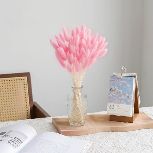 60PCS Rabbit Tail Grass Dried Flowers Dried Natural Floral Arrangement Bunch Decoration Dried Grass,Eternal Flower Dried Grass for Home,Wedding,Party,Flower Bouquet,Photo Props Decor (Pink)