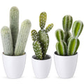 3 Pcs Artificial Cactus Plants 9-11'' Fake Cactus Potted Decor No Maintenance Faux Succulent Cacti Nordic Style Decor for Home Office Desk Shelf Living Room Indoor Housewarming Gifts