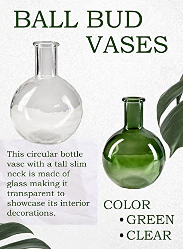 Serene Spaces Living Set of 2 Clear Bottleneck Bulb Glass Vase, Vintage Round Flower Vase for Console Table, Shelf, Living Room, Bathroom, Office, Wedding, Measures 5.3" Diameter & 7.48" Tall - color: Clear