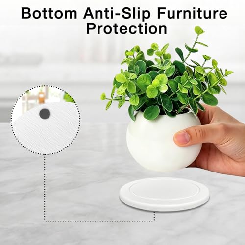 Instant Dry Diatomaceous Earth Plant Saucer, Round Stone Drip & Drainage Tray for Indoor Outdoor, Absorbent Pot Coaster, Housewarming Gift, Keep Floors Dry and Clean (4,6in,White) - color: White, size: 6.30 × 6.30 in