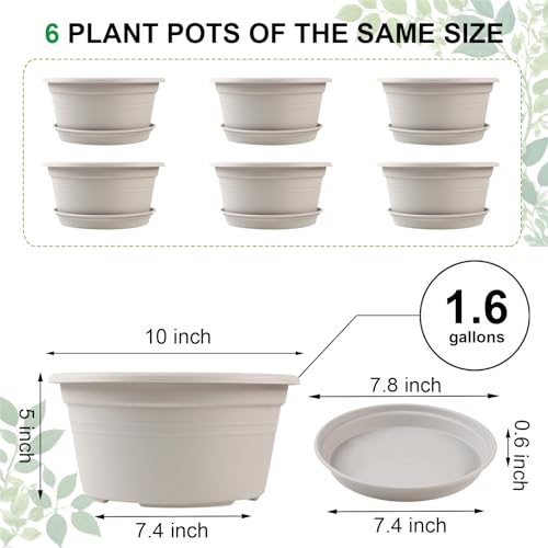 6 Pack 10 inch Plant Pot, Outdoor Pots for Plants with Drainage Hole & Tray Saucer, Round Plastic Plant Pot, Decoration Flower Pots for Indoor Plants Home Garden Outdoor Planters (Gray White) - color: Gray White, size: 10 Inch - 6Pack