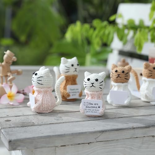 YOOJEE Positive Crochet Animals Cat – “You are Pawsome” Valentines Day Gifts for Him Her Boyfriend Girlfriend Women Teens, Emotional Support & Cheer Up Present, Teacher Appreciation, Birthday Gift - color: Cat-white-awesome