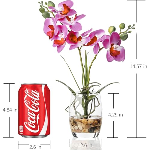 Jusdreen Artificial Purple Orchid in Glass Vase, Realistic Phalaenopsis Arrangement with Potting for Home Office Table Decor, 14.5 Inch Flower Centerpiece - color: Glass-purple