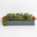 CG Hunter Oblong Faux Succulent Arrangement, Premium Artificial Indoor Plant Enhances Interior Design, Display on any Surface in Your Home Adding an Inviting Touch of Nature, Grey Planter Pot Included - size: 27" Oblong Grey Planter