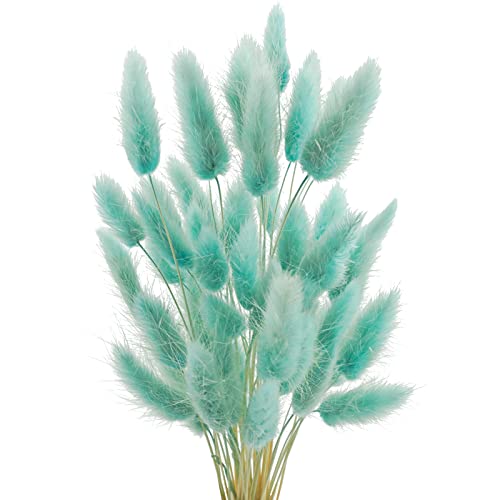 Uieke 240 Pcs Bunny Tails Dried Flowers, 17’’ Dried Lagurus Ovatus, Dried Foxtail Grass for Flower Arrangements Wedding Centerpieces Home Boho Baby Shower Party Decorations (Teal Blue) - color: Teal Blue-240pcs