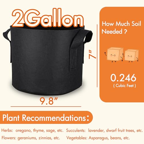 Gardzen 6-Pack 2 Gallon Grow Bags, 300G Thickened Nonwoven Fabric Pots with Handles, Heavy Duty Aeration Plant Bags for Gardening and Container Growing - size: 2 Gallons