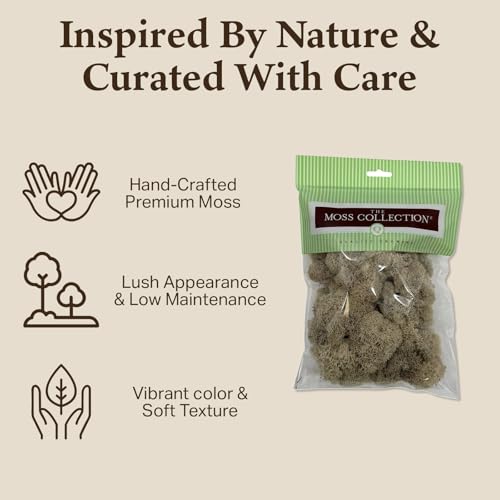 Quality Growers - Preserved Reindeer Moss - Moss for Crafts, Home Decor, Art, Design & DIY Projects - Non-Toxic - USA Made (Natiural, Small, 2-Pack) - color: Natural, size: Small (2-Pack)